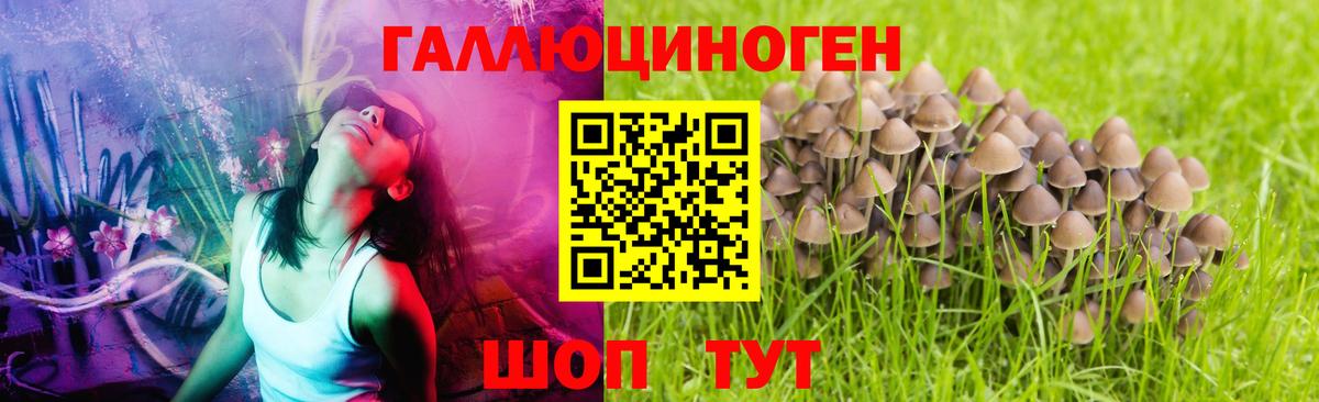 что такое   Псилоцибиновые грибы Psilocybine cubensis  Волгоград  Вход с VPN  Галлюциногенные грибы GOLDEN TEACHER 